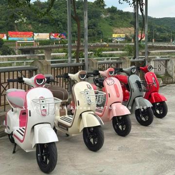 Ảnh nhỏ: xe-dien-dylexe-x1-4