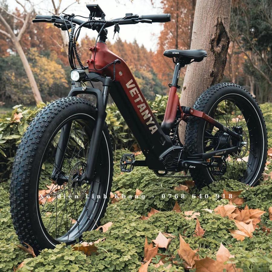 xe-dap-dien-tro-luc-vetanya-kodiak-2