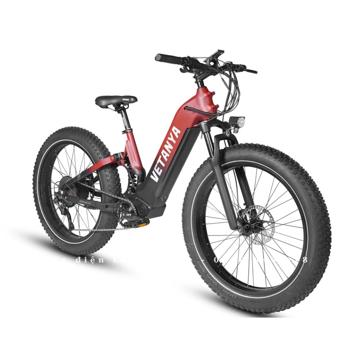 Ảnh nhỏ: xe-dap-dien-tro-luc-vetanya-kodiak-5