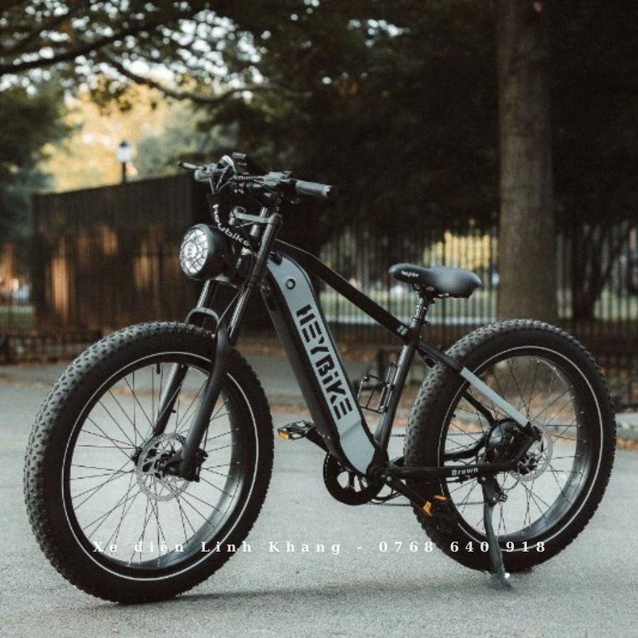 xe-dap-dien-tro-luc-heybike-brawn-4