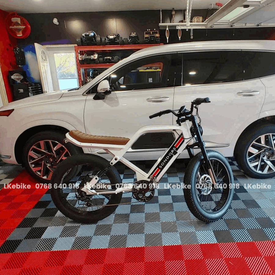 tro-luc-dien-sondors-madmods-3