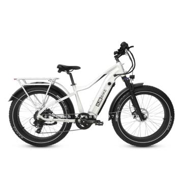 Ảnh nhỏ: xe-dap-dien-tro-luc-hjm-toury-4