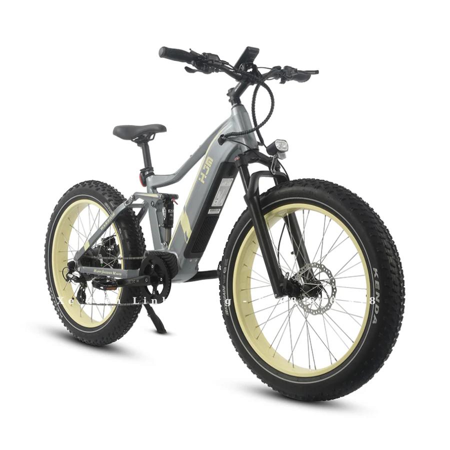 xe-dap-dien-tro-luc-hjm-bike-1