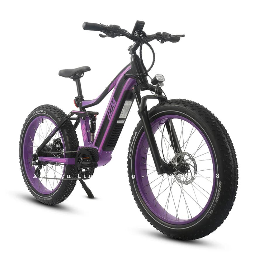 xe-dap-dien-tro-luc-hjm-bike-5