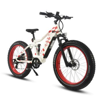 Ảnh nhỏ: xe-dap-dien-tro-luc-hjm-bike-7