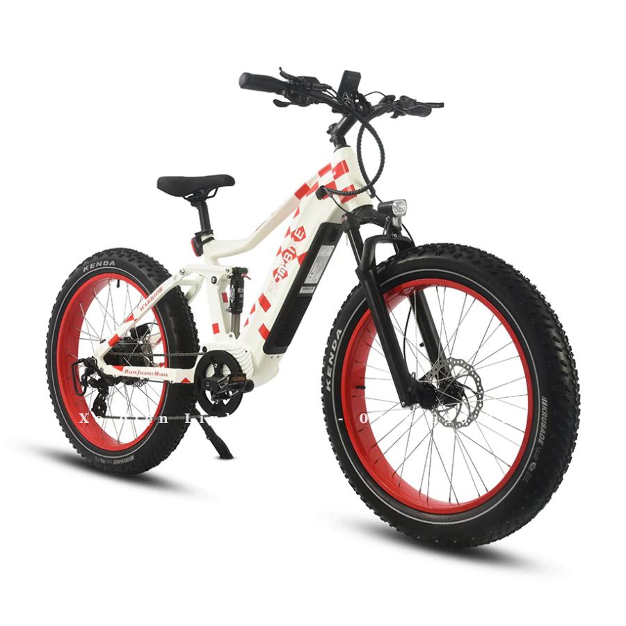 xe-dap-dien-tro-luc-hjm-bike-7