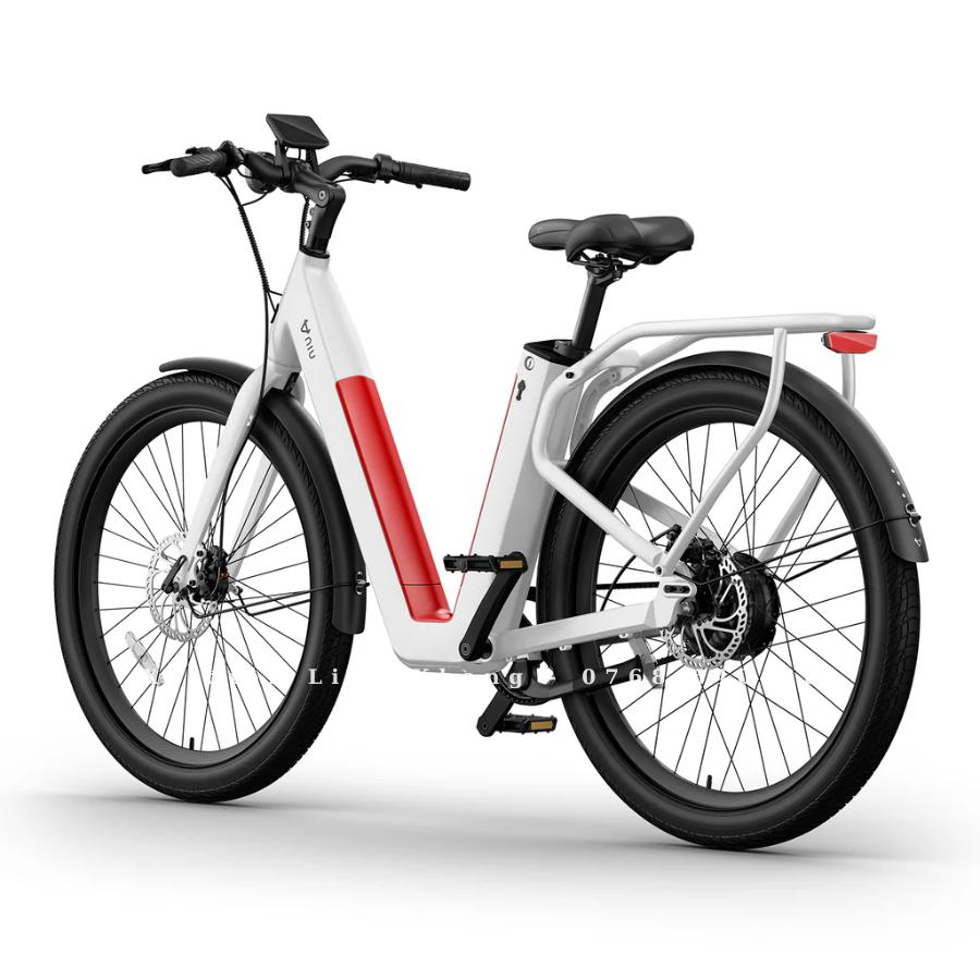 xe-dap-dien-tro-luc-niu-bqi-c3-pro-3