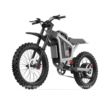 Ảnh nhỏ: tro-luc-dien-coswheel-r19-2