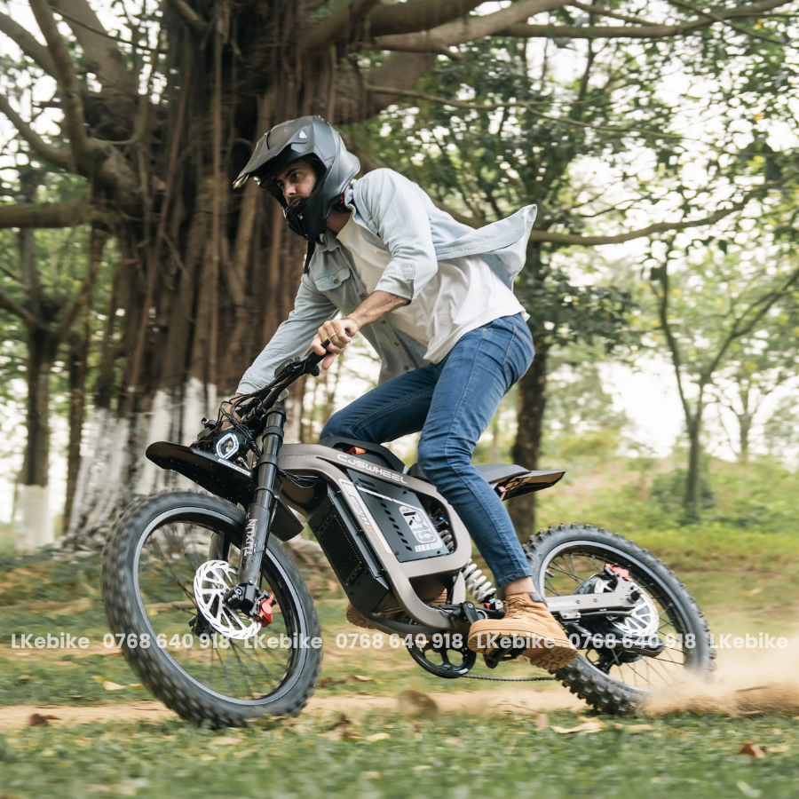 Tro-luc-dien-coswheel-r19-5