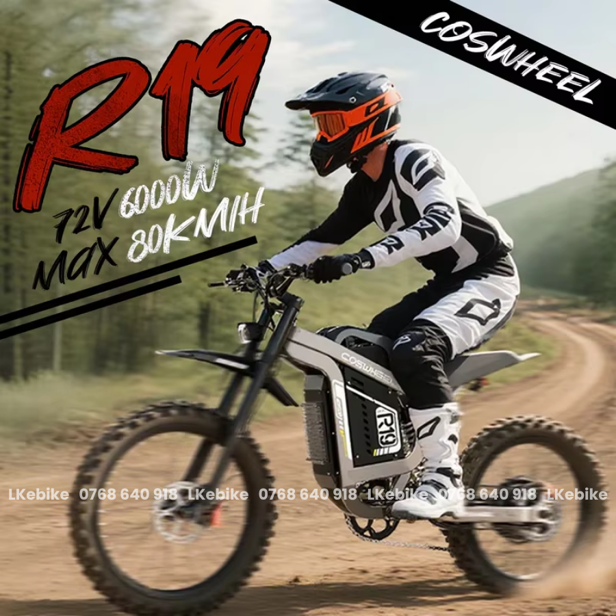 Tro-luc-dien-coswheel-r19-6
