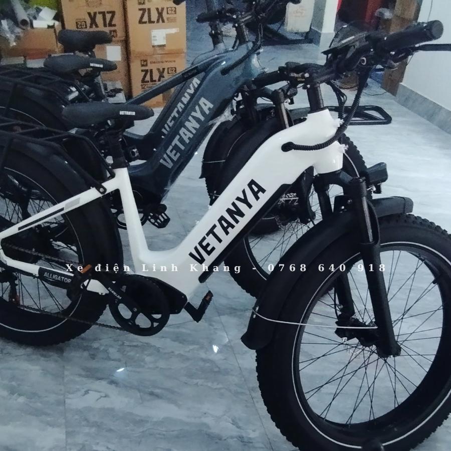 xe-dap-dien-tro-luc-vetanya-12