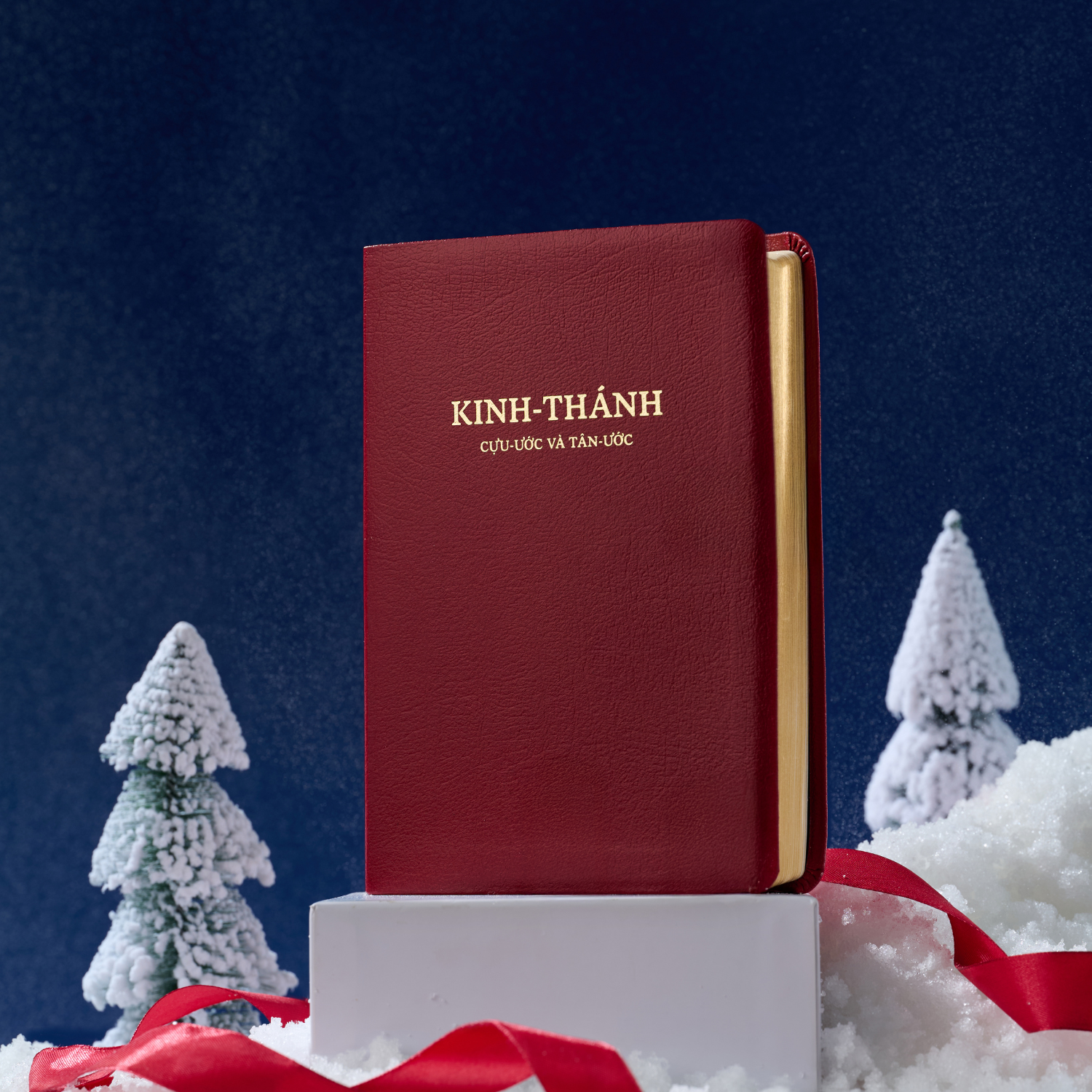 Kinh Thánh Mạ Vàng – Khổ Lớn – Bìa Đỏ (Không Dây Kéo)