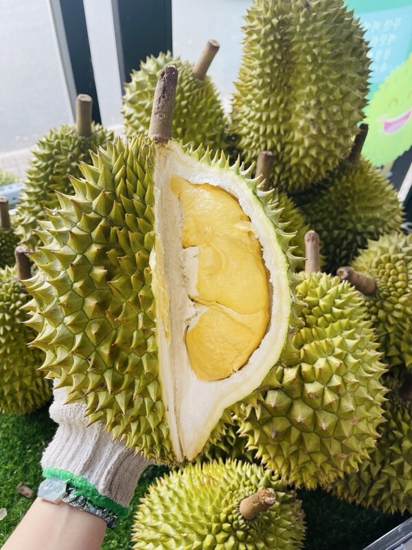 Sầu Riêng Ri6 Ký Cơm