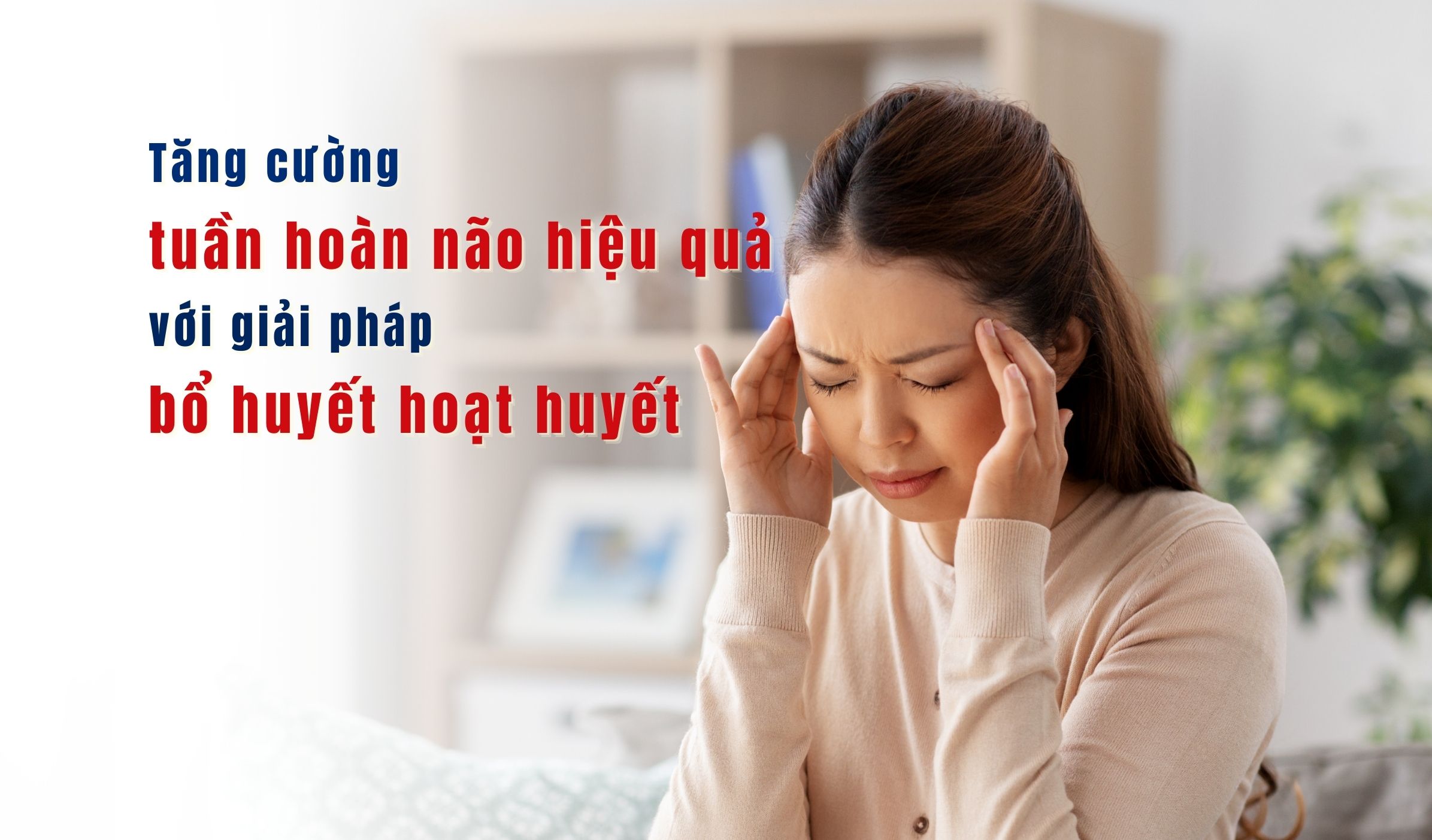 Tăng cường tuần hoàn não hiệu quả với giải pháp bổ huyết hoạt huyết