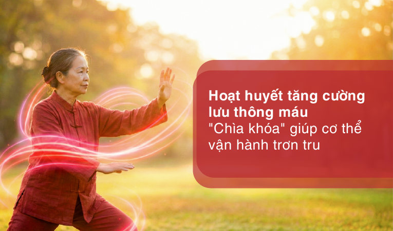 Hoạt huyết tăng cường lưu thông máu – "chìa khóa" giúp cơ thể vận hành trơn tru