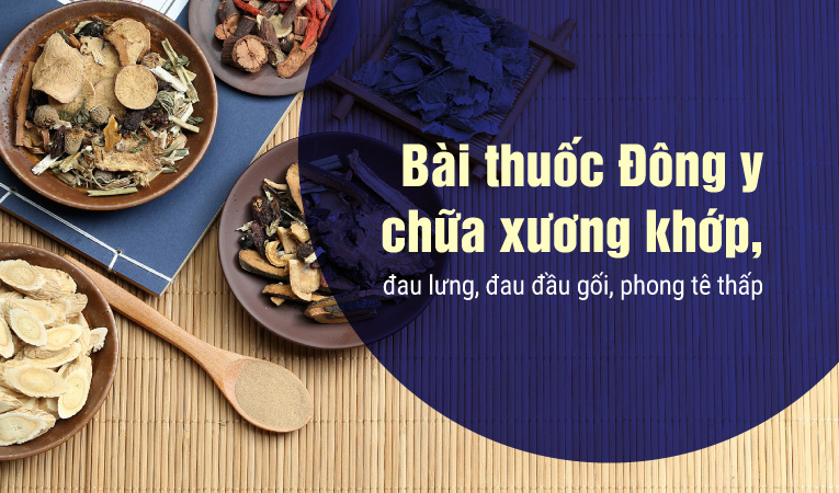 Bài thuốc Đông y chữa xương khớp, đau lưng, đau đầu gối, phong tê thấp