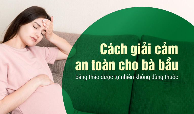 Cách giải cảm an toàn cho bà bầu bằng thảo dược tự nhiên không dùng thuốc