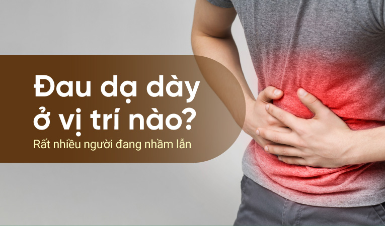 Đau dạ dày ở vị trí nào? Rất nhiều người đang nhầm lẫn