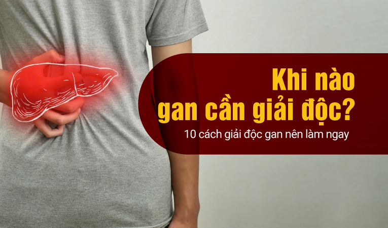 Khi nào gan cần giải độc? 10 cách giải độc gan nên làm ngay