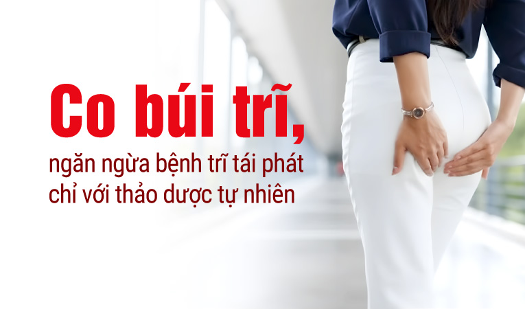 Co búi trĩ, ngăn ngừa bệnh trĩ tái phát chỉ với thảo dược tự nhiên
