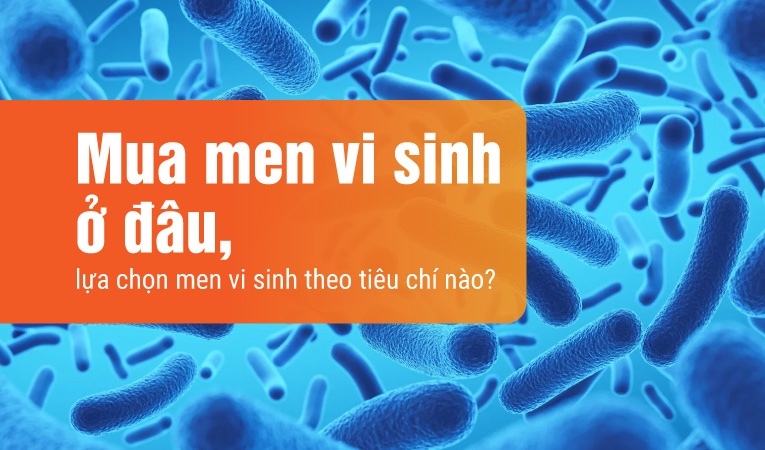 Mua men vi sinh ở đâu, lựa chọn men vi sinh theo tiêu chí nào?