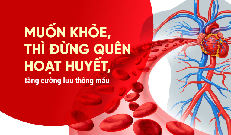 Muốn khỏe, thì đừng quên hoạt huyết, tăng cường lưu thông máu