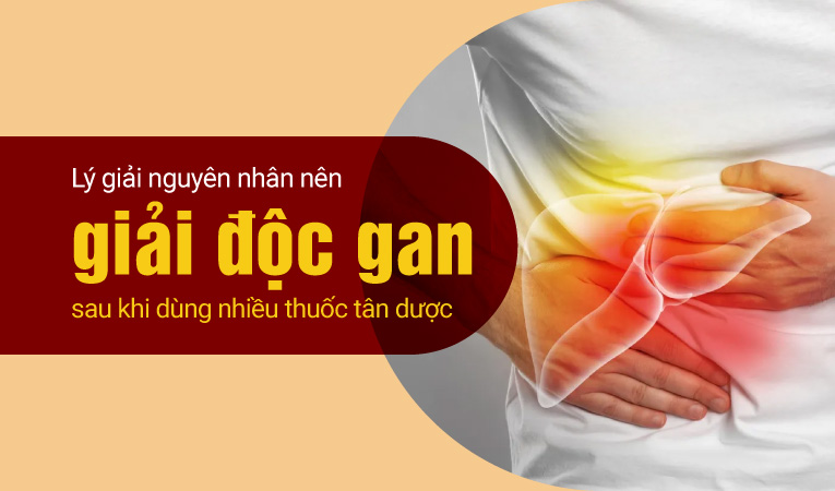 Lý giải nguyên nhân nên giải độc gan sau khi dùng nhiều thuốc tân dược