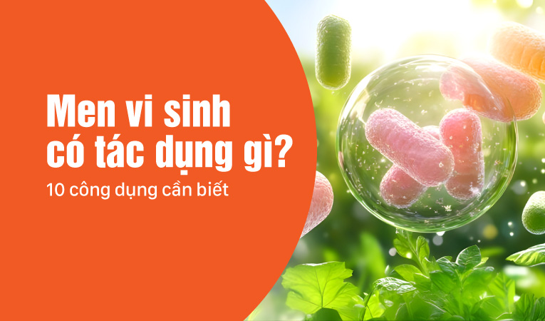 Men vi sinh có tác dụng gì? 10 công dụng cần biết