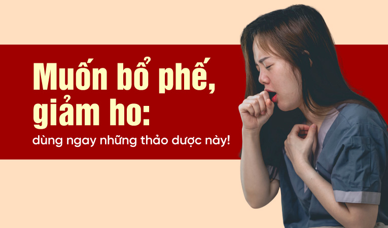 Muốn bổ phế, giảm ho: dùng ngay những thảo dược này!