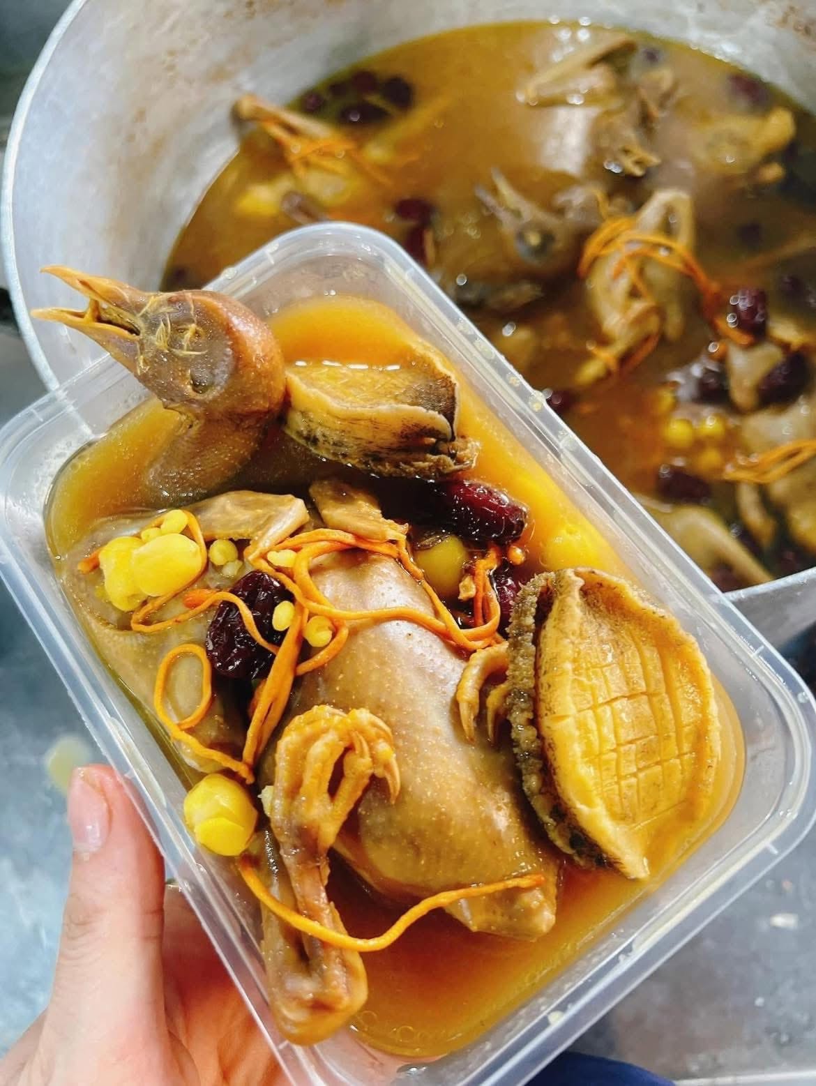 Chim câu hầm bào ngư