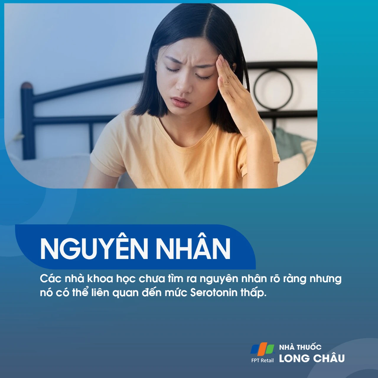 Hình ảnh minh họa