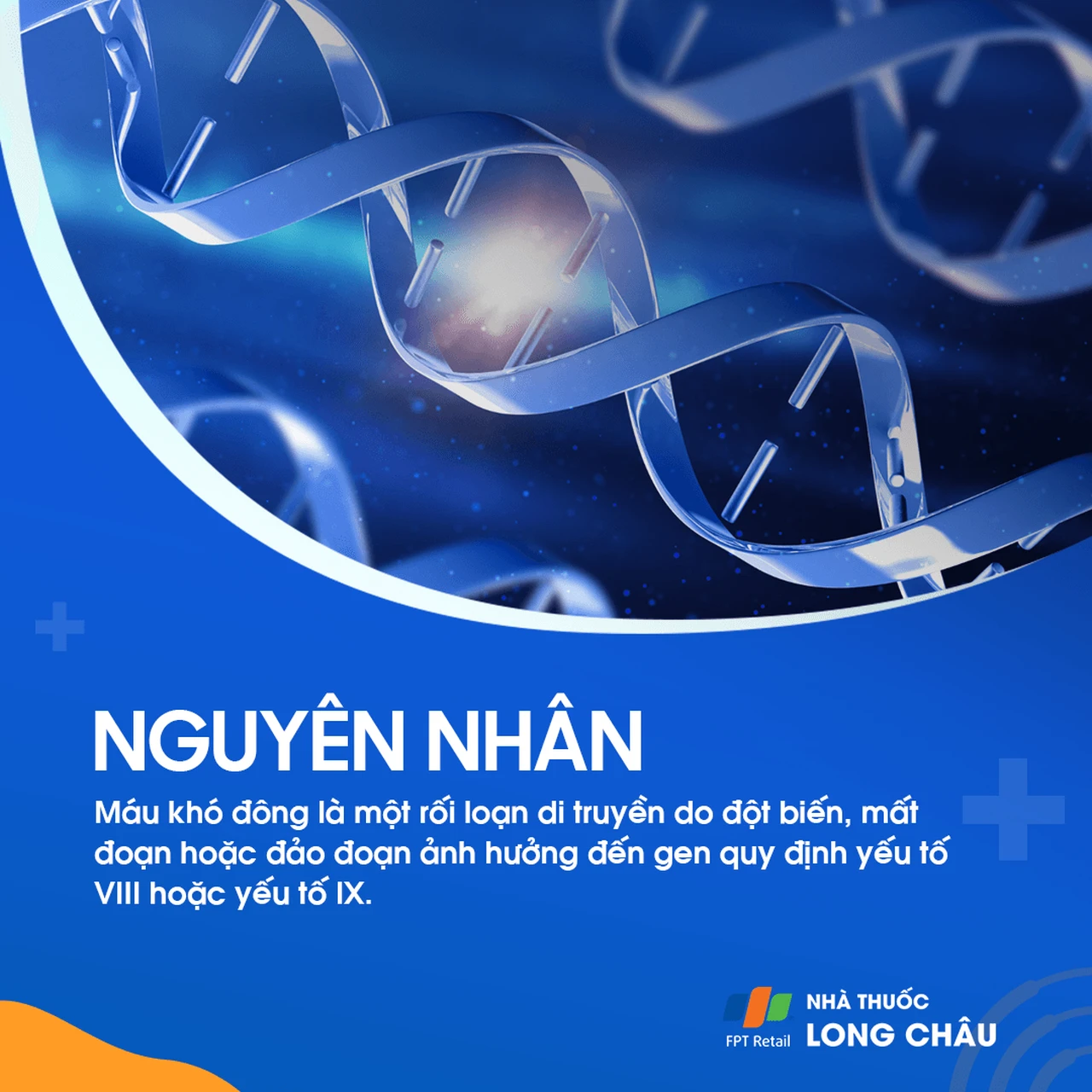 Hình ảnh minh họa