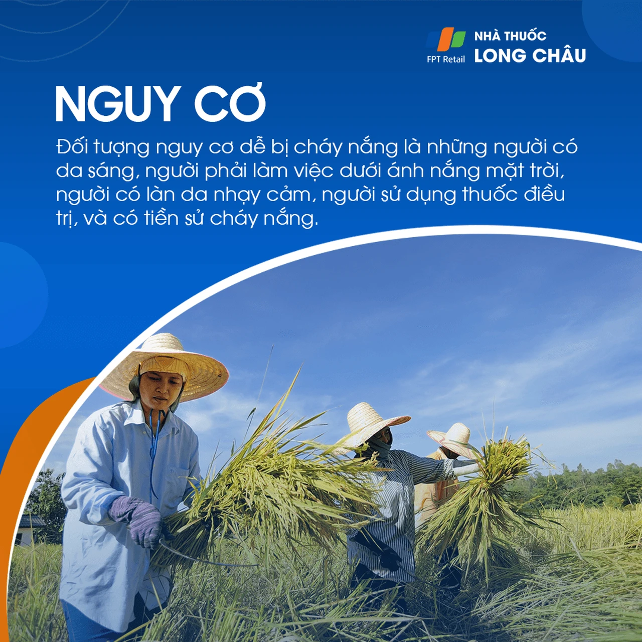 Hình ảnh minh họa