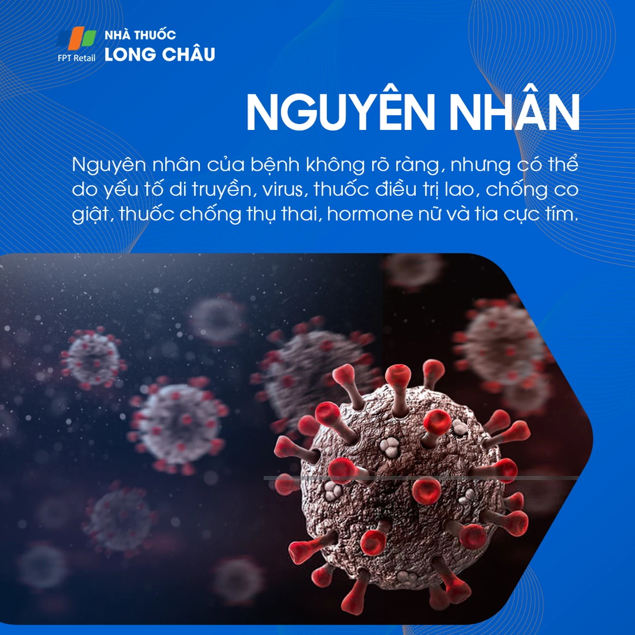 Hình ảnh minh họa