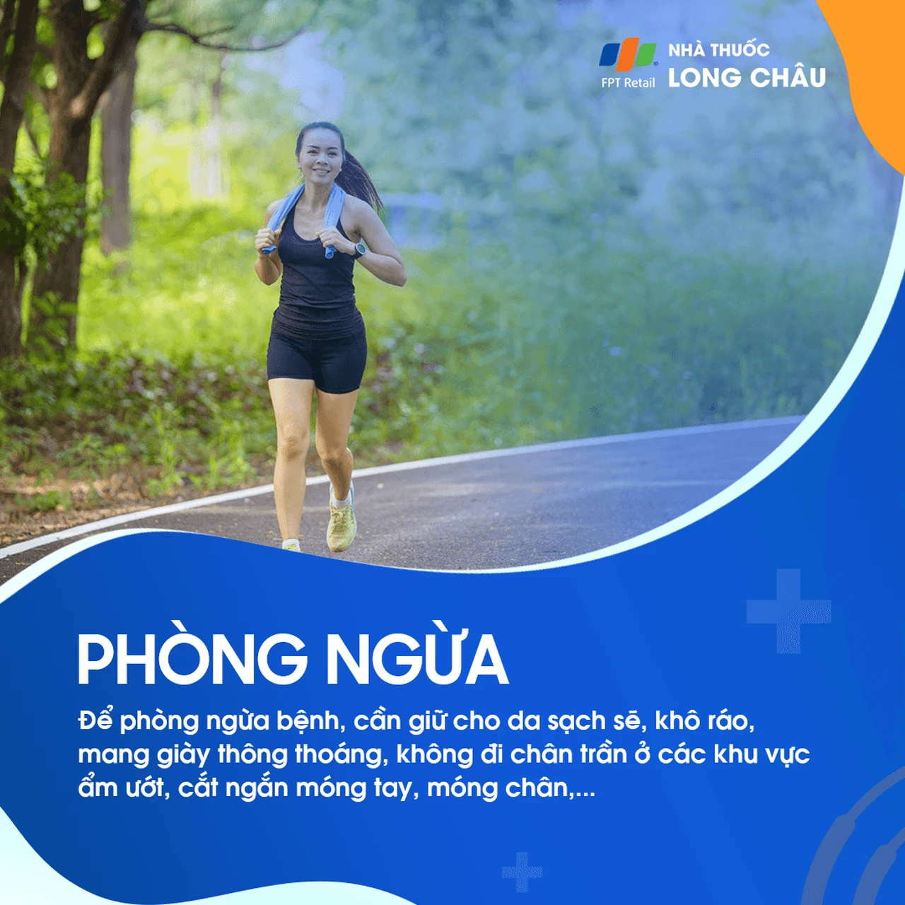 Hình ảnh minh họa