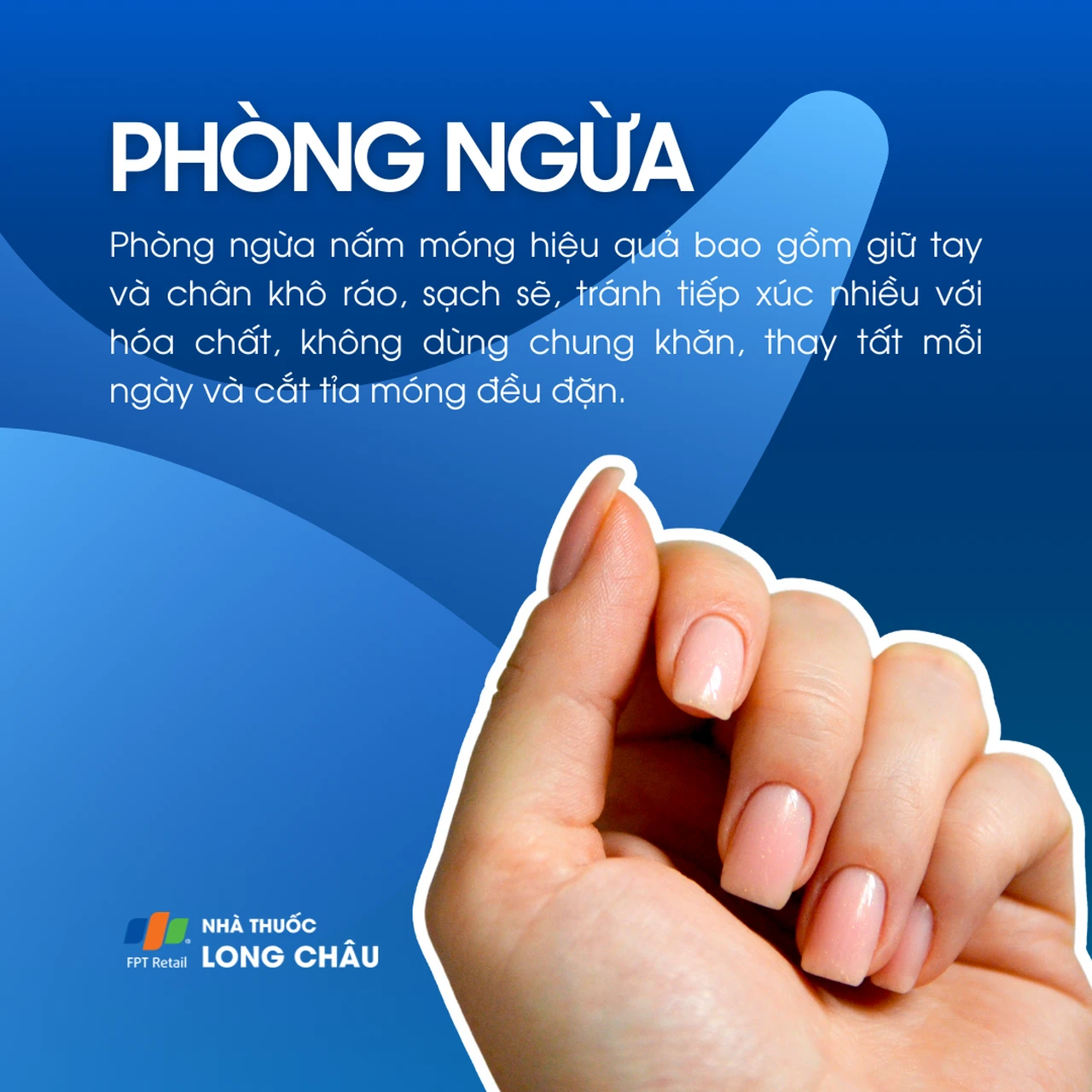 Hình ảnh minh họa