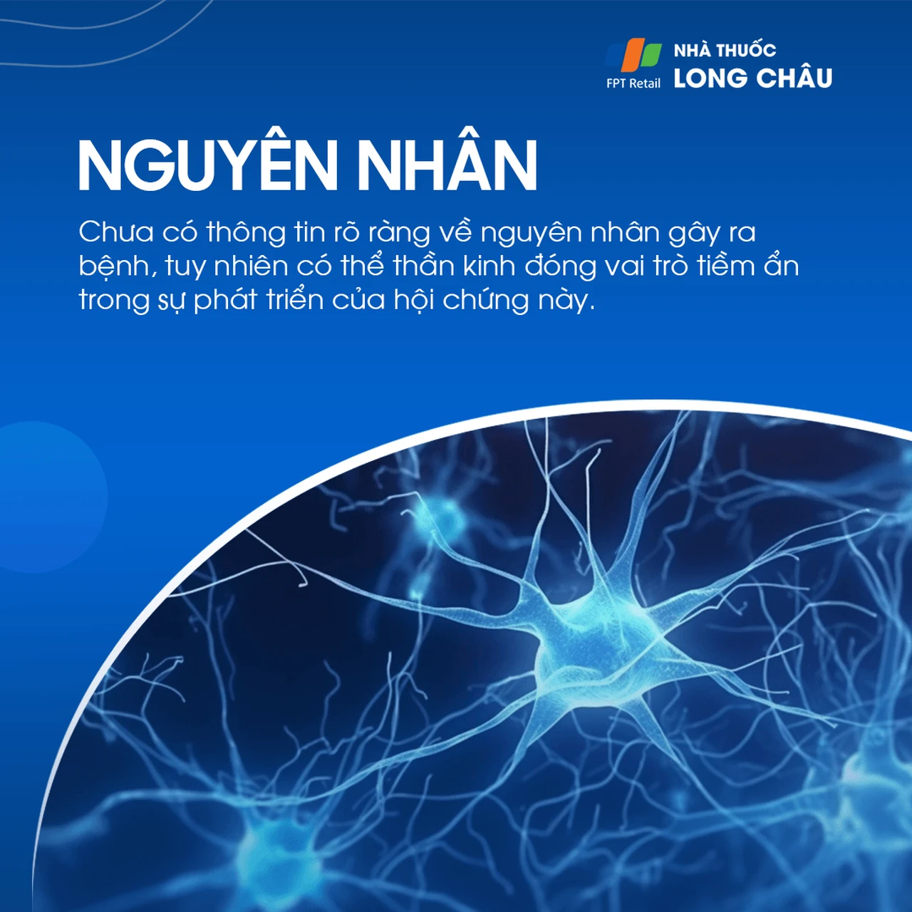 Hình ảnh minh họa