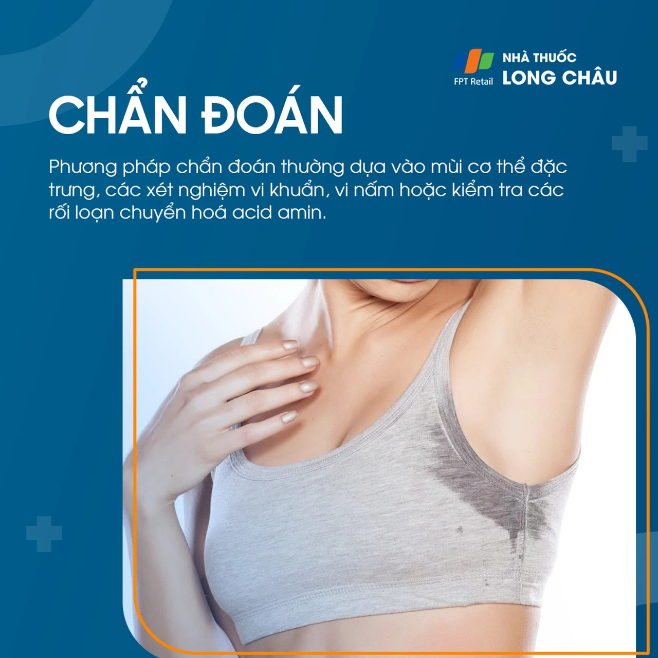 Hình ảnh minh họa