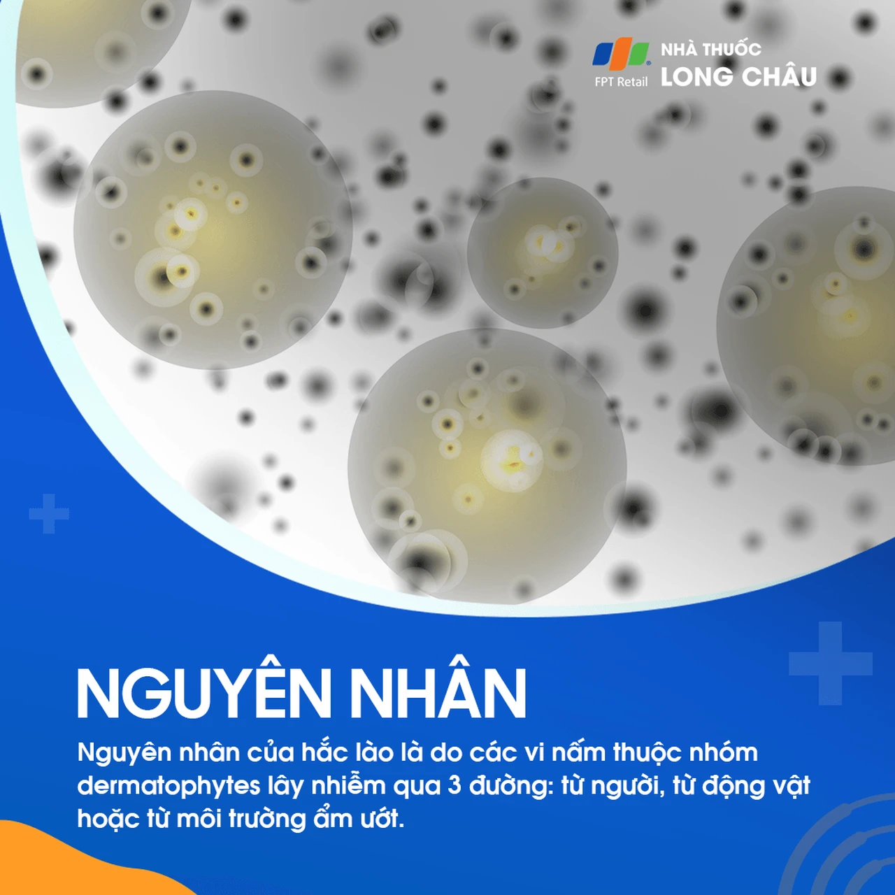 Hình ảnh minh họa
