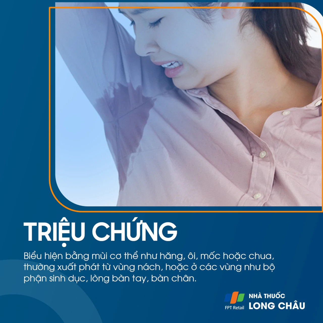 Hình ảnh minh họa