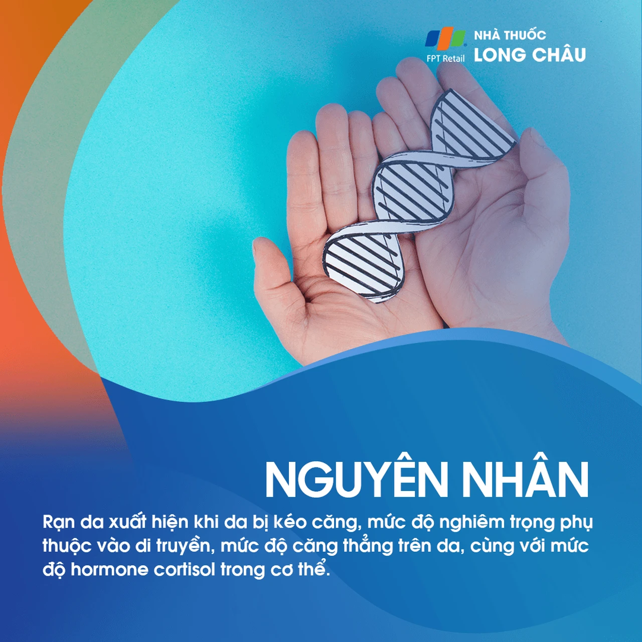 Hình ảnh minh họa