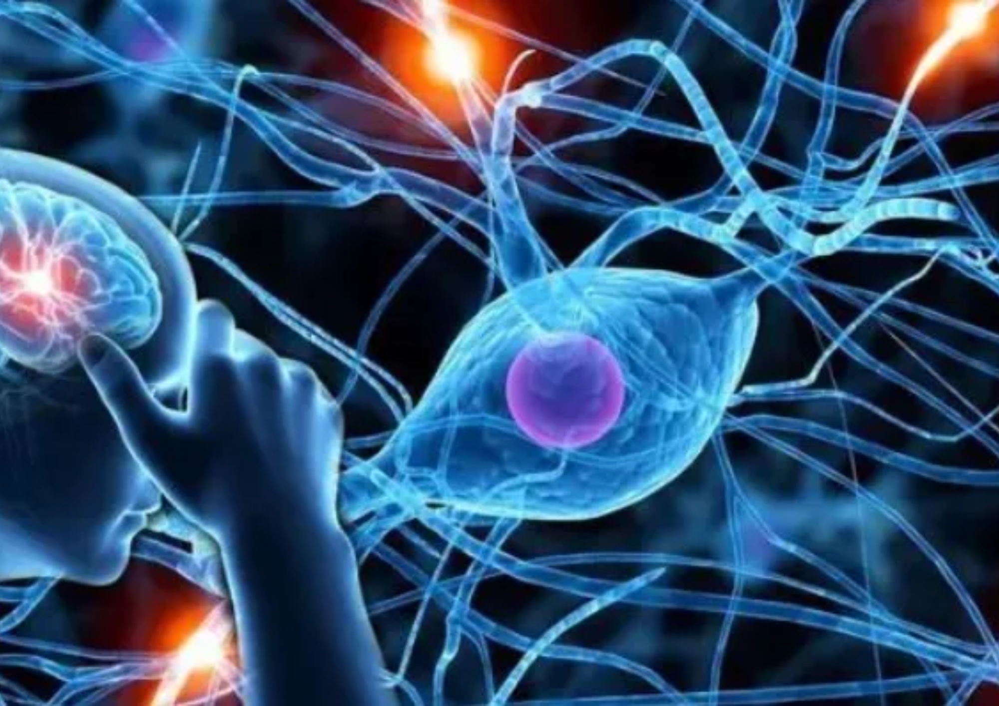 Rối loạn chức năng não sau hóa trị: Dấu hiệu, nguyên nhân, chẩn đoán và điều trị