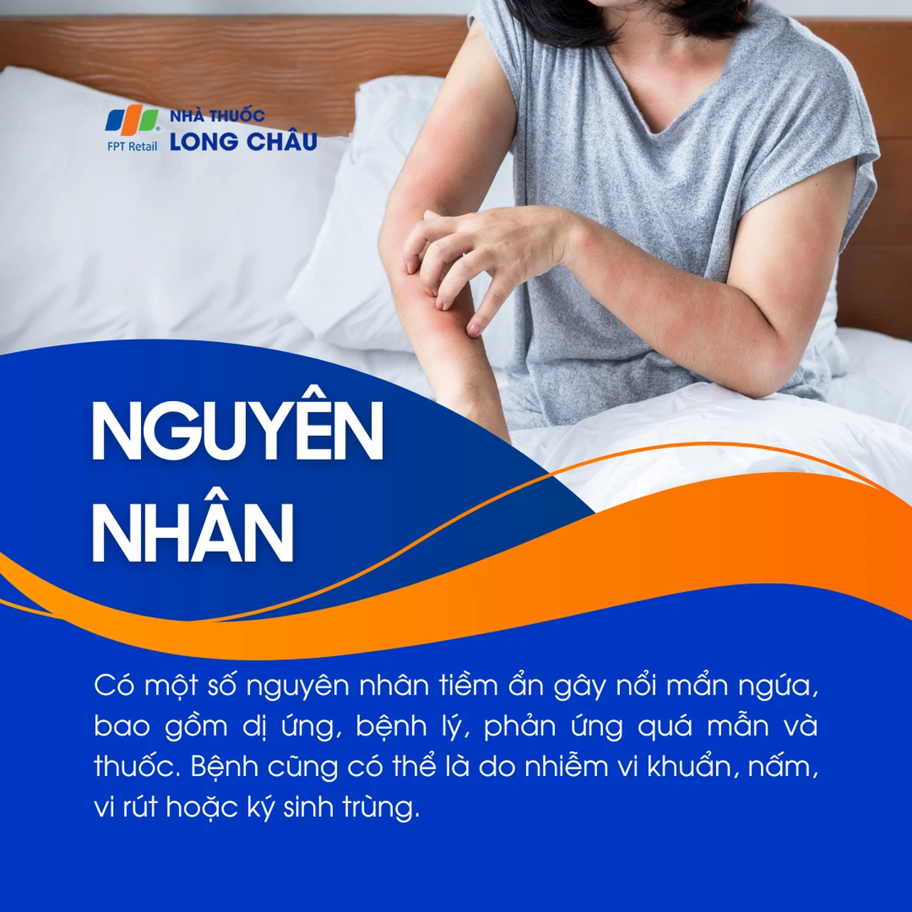 Hình ảnh minh họa