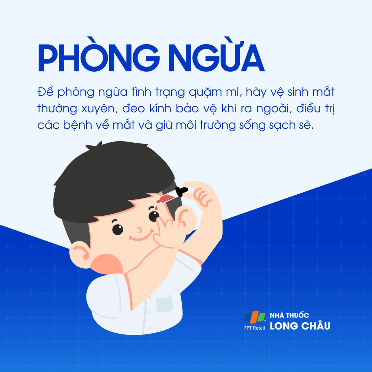 Hình ảnh minh họa
