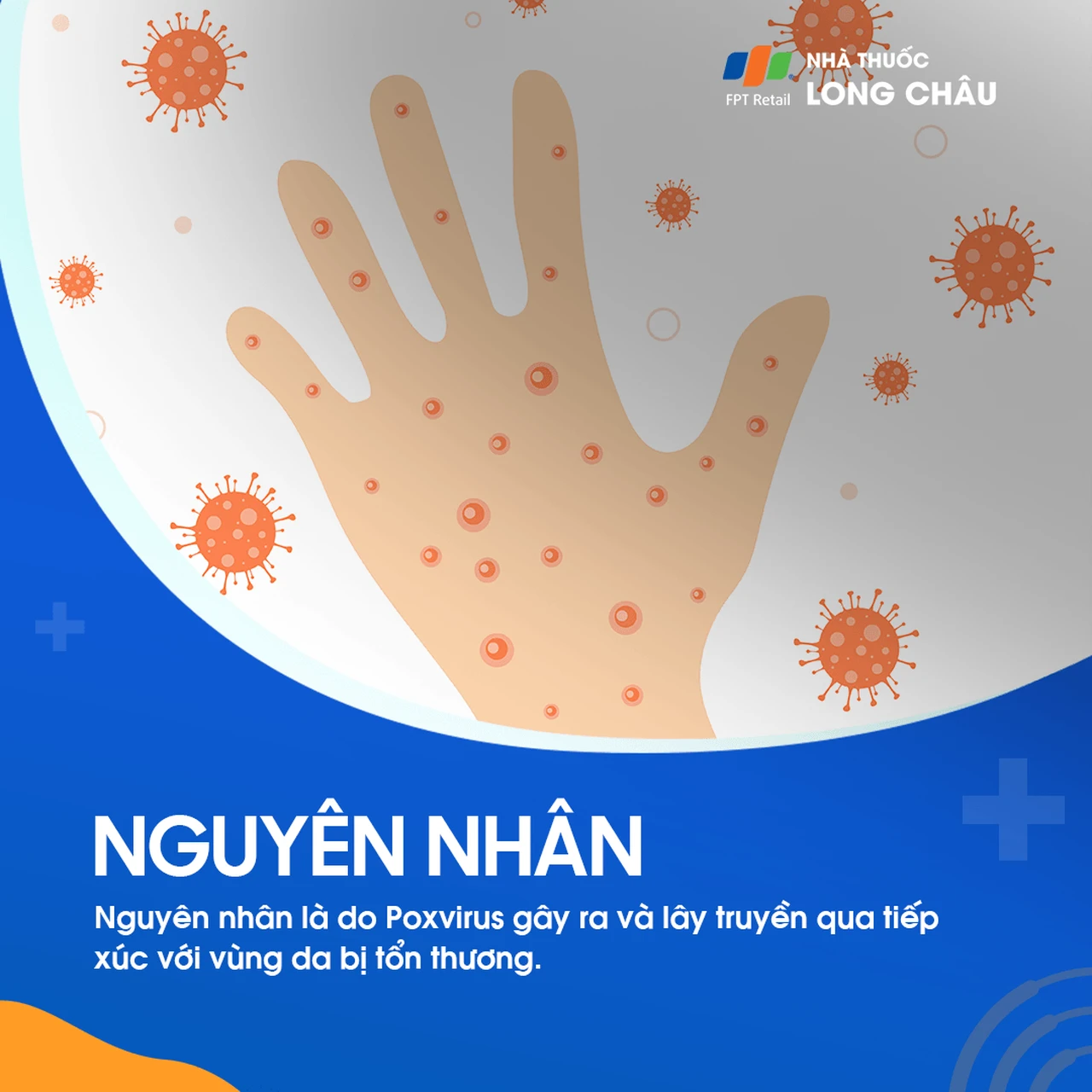 Hình ảnh minh họa