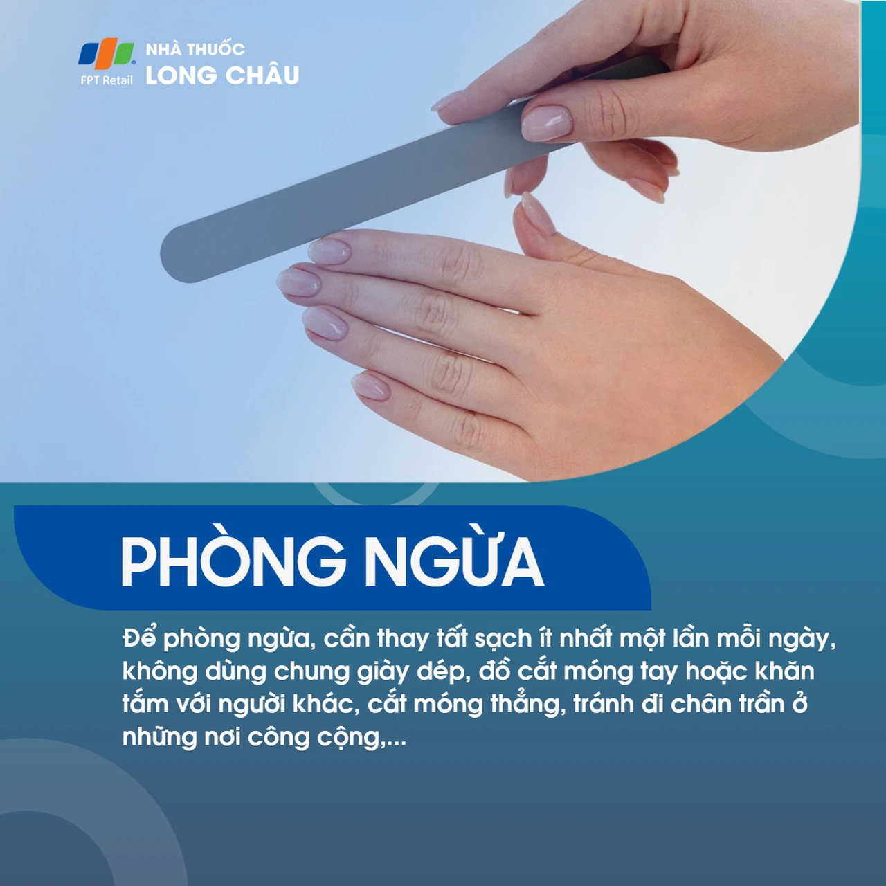 Hình ảnh minh họa