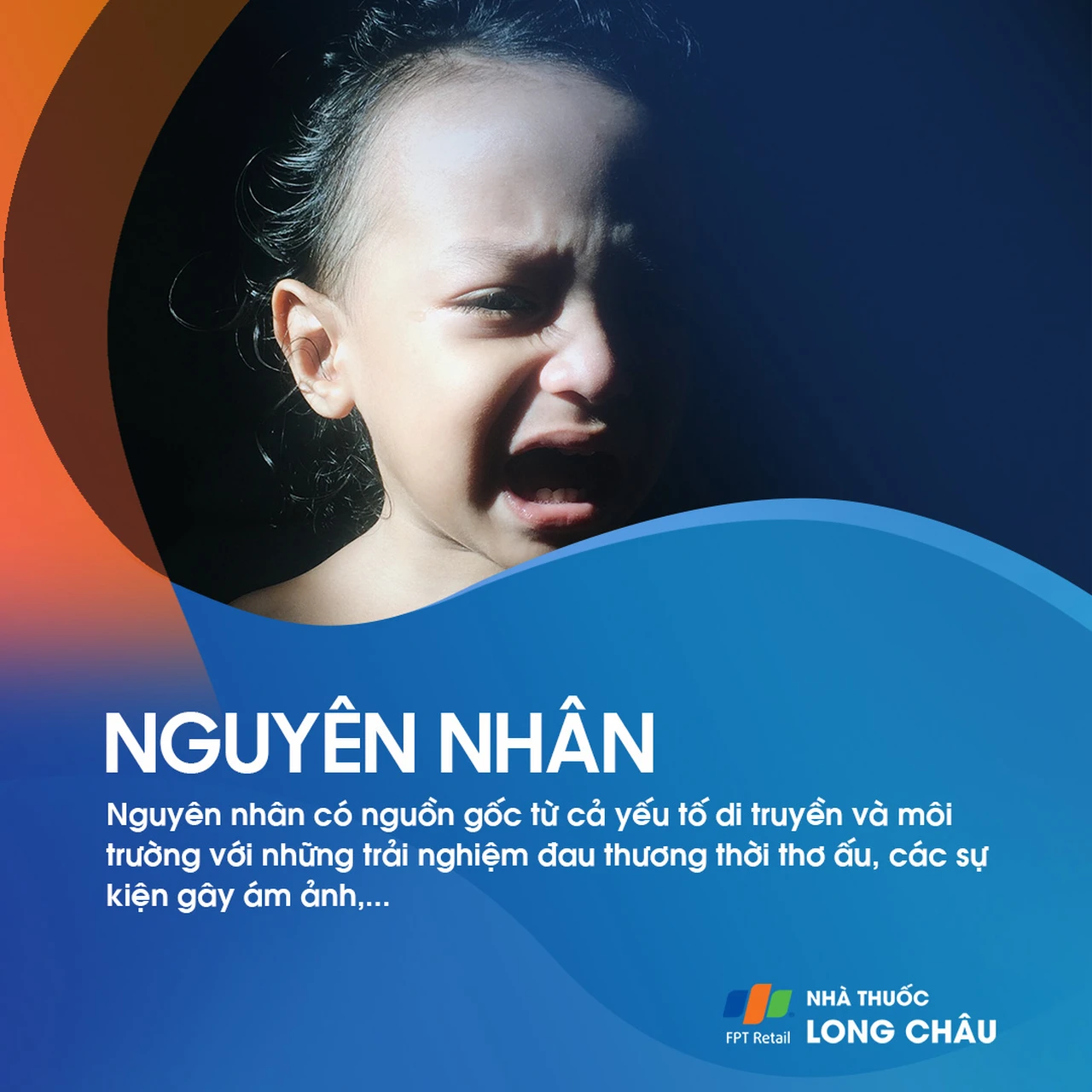 Hình ảnh minh họa