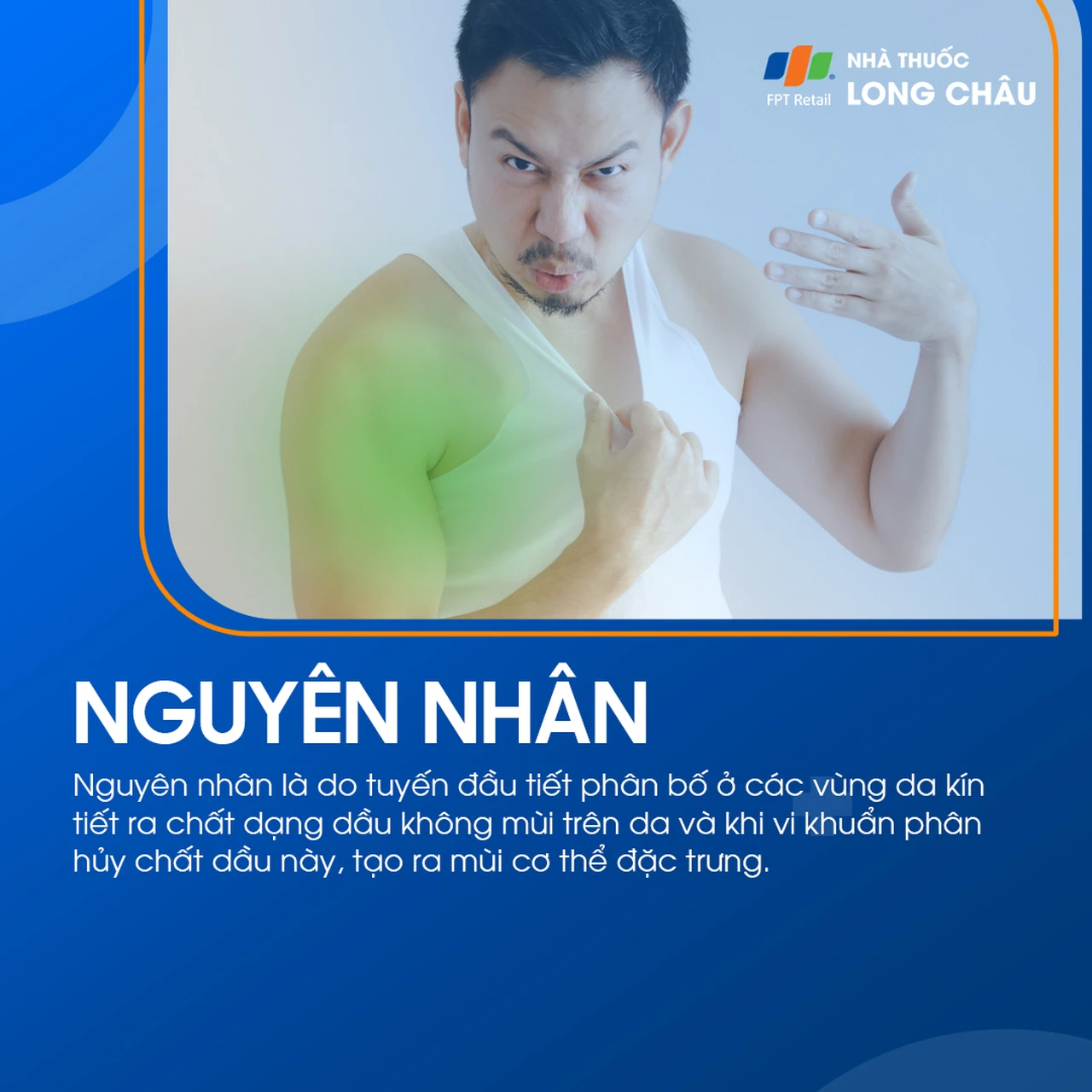Hình ảnh minh họa