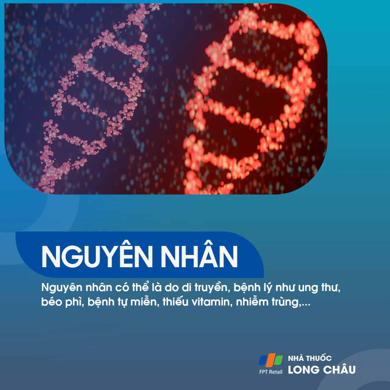 Hình ảnh minh họa