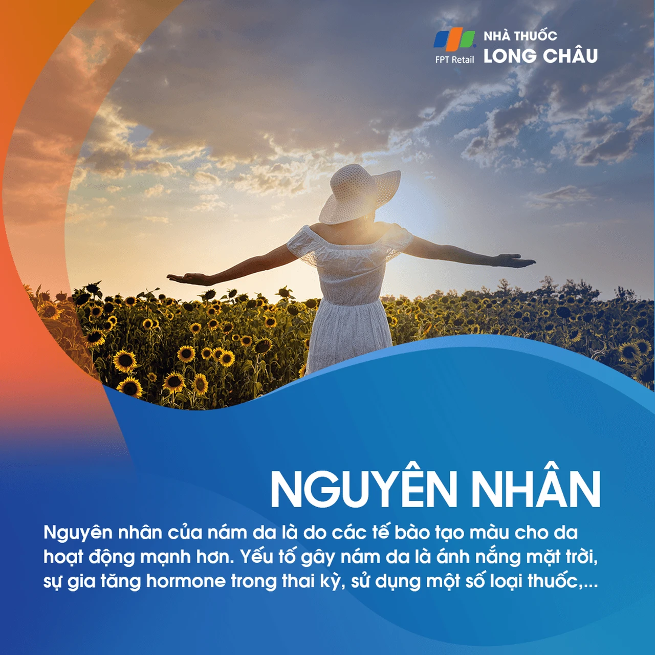 Hình ảnh minh họa